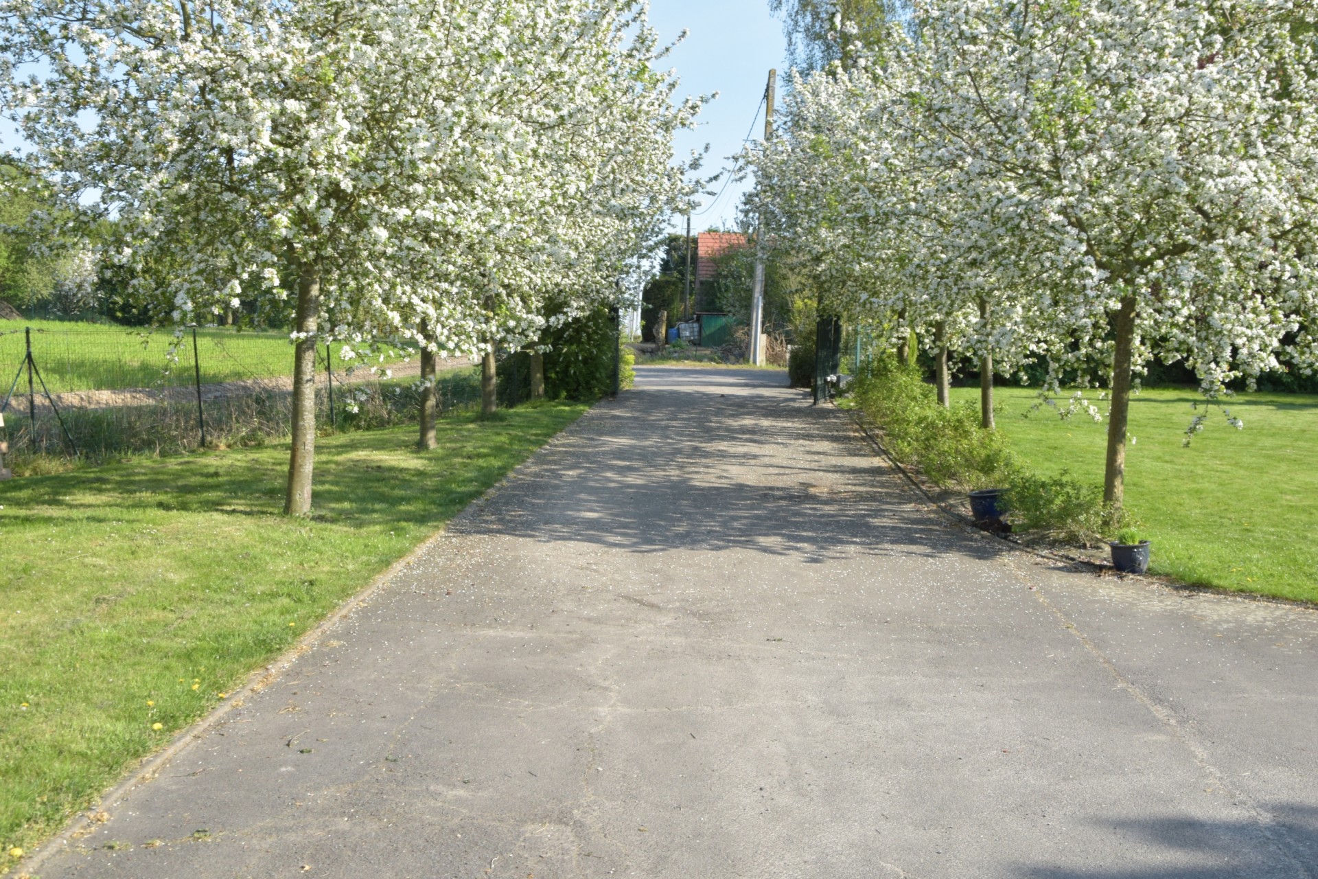 l'entrée des chambres d'hôtes