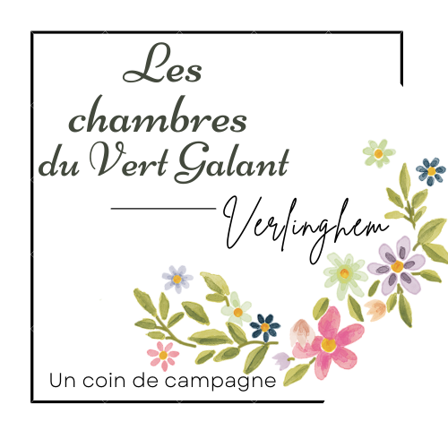 Les chambres d'hôtes du Vert Galant Verlinghem